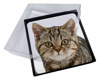 4x Face of Brown Tabby Cat Picture Table Coasters Set in Gift Box