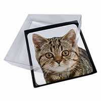 4x Face of Brown Tabby Cat Picture Table Coasters Set in Gift Box