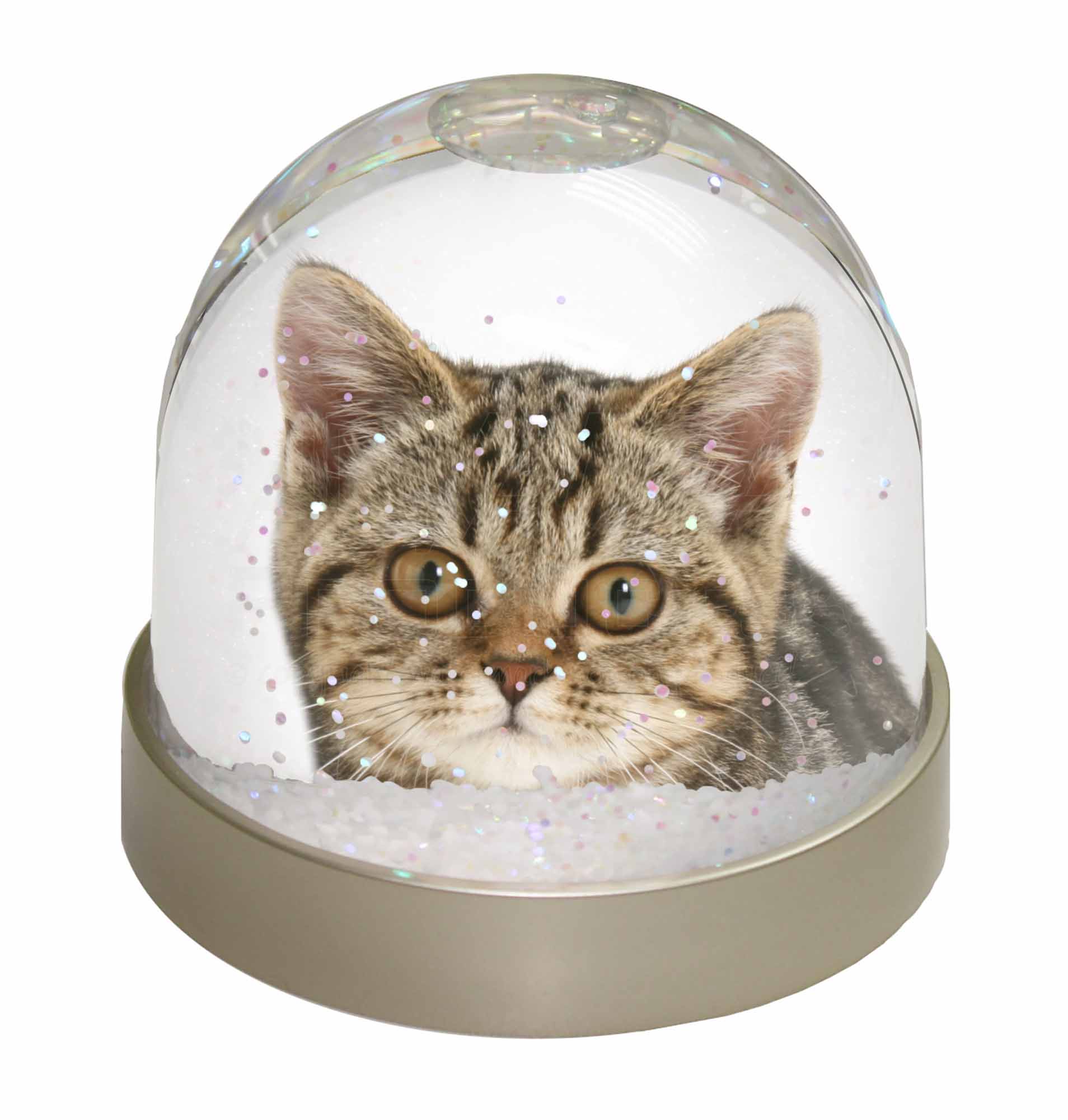 country artists figurines cats dreamy days country artists figurines cats dreamy days