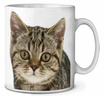 Face of Brown Tabby Cat Ceramic 10oz Coffee Mug/Tea Cup