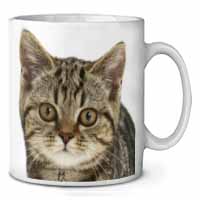 Face of Brown Tabby Cat Ceramic 10oz Coffee Mug/Tea Cup