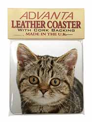 Face of Brown Tabby Cat Single Leather Photo Coaster