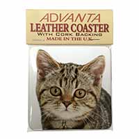 Face of Brown Tabby Cat Single Leather Photo Coaster
