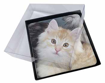 4x Ginger Kitten Picture Table Coasters Set in Gift Box
