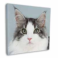 Pretty Grey and White Cats Face Square Canvas 12"x12" Wall Art Picture Print