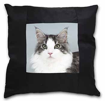 Pretty Grey and White Cats Face Black Satin Feel Scatter Cushion