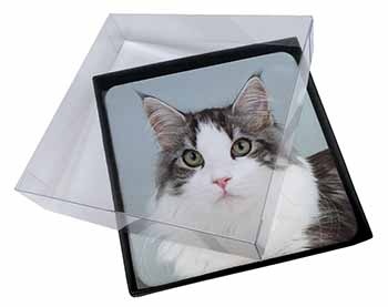 4x Pretty Grey and White Cats Face Picture Table Coasters Set in Gift Box