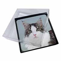 4x Pretty Grey and White Cats Face Picture Table Coasters Set in Gift Box