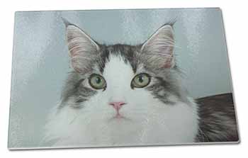 Large Glass Cutting Chopping Board Pretty Grey and White Cats Face