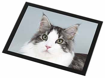 Pretty Grey and White Cats Face Black Rim High Quality Glass Placemat