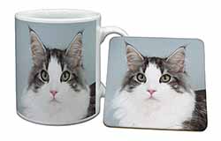 Pretty Grey and White Cats Face Mug and Coaster Set