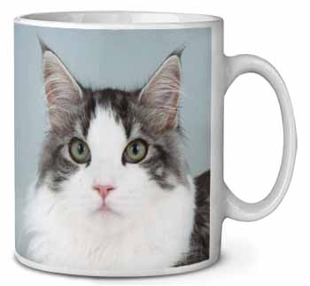 Pretty Grey and White Cats Face Ceramic 10oz Coffee Mug/Tea Cup