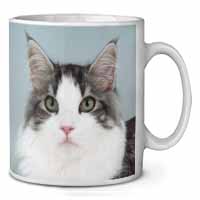 Pretty Grey and White Cats Face Ceramic 10oz Coffee Mug/Tea Cup