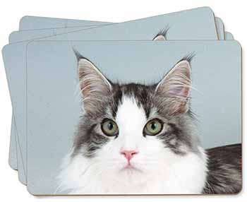Pretty Grey and White Cats Face Picture Placemats in Gift Box