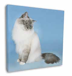 Birman Cats Square Canvas 12"x12" Wall Art Picture Print