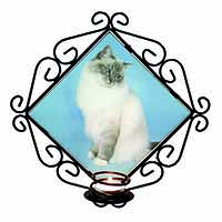 Birman Cats Wrought Iron Wall Art Candle Holder