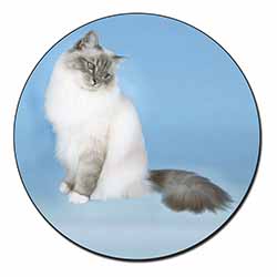 Birman Cats Fridge Magnet Printed Full Colour