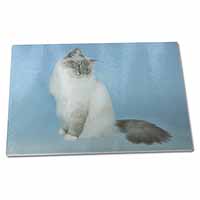 Large Glass Cutting Chopping Board Birman Cats