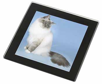 Birman Cats Black Rim High Quality Glass Coaster