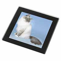 Birman Cats Black Rim High Quality Glass Coaster