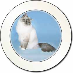 Birman Cats Car or Van Permit Holder/Tax Disc Holder