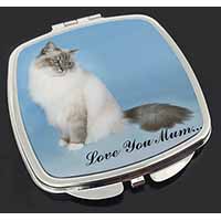 Birman Cat 