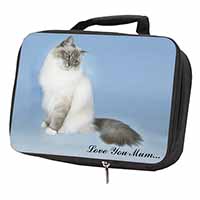 Birman Cat 