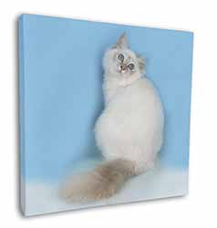 Pretty Birman Kitten Square Canvas 12"x12" Wall Art Picture Print