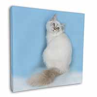 Pretty Birman Kitten Square Canvas 12"x12" Wall Art Picture Print