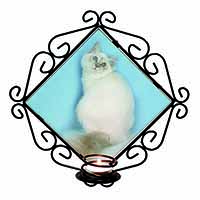 Pretty Birman Kitten Wrought Iron Wall Art Candle Holder