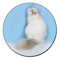 Pretty Birman Kitten Fridge Magnet Printed Full Colour