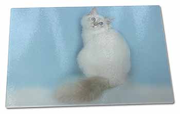 Large Glass Cutting Chopping Board Pretty Birman Kitten