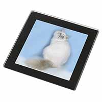 Pretty Birman Kitten Black Rim High Quality Glass Coaster