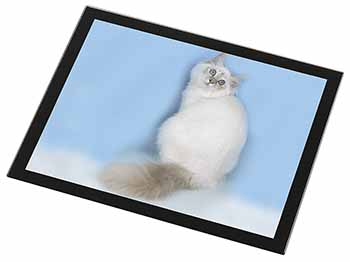 Pretty Birman Kitten Black Rim High Quality Glass Placemat