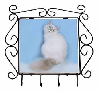 Pretty Birman Kitten Wrought Iron Key Holder Hooks