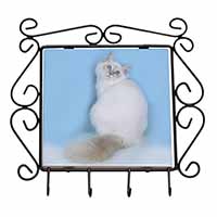 Pretty Birman Kitten Wrought Iron Key Holder Hooks