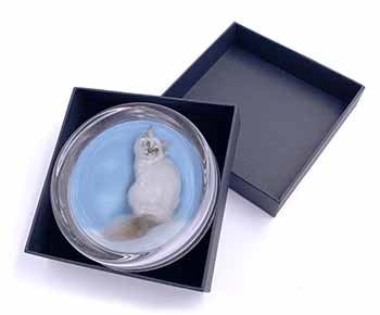 Pretty Birman Kitten Glass Paperweight in Gift Box