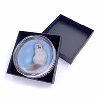 Pretty Birman Kitten Glass Paperweight in Gift Box