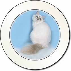 Pretty Birman Kitten Car or Van Permit Holder/Tax Disc Holder