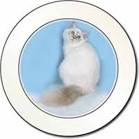 Pretty Birman Kitten Car or Van Permit Holder/Tax Disc Holder