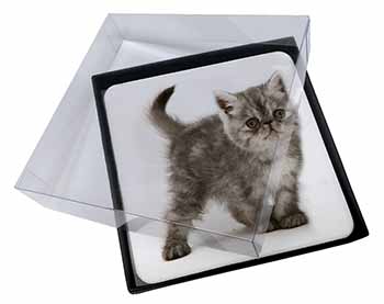4x Silver Exotic Kitten Picture Table Coasters Set in Gift Box
