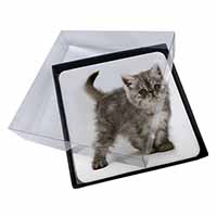4x Silver Exotic Kitten Picture Table Coasters Set in Gift Box