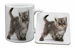 Silver Exotic Kitten Mug and Coaster Set