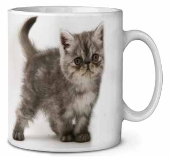 Silver Exotic Kitten Ceramic 10oz Coffee Mug/Tea Cup