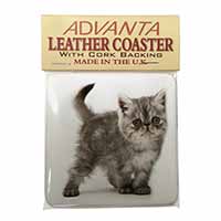 Silver Exotic Kitten Single Leather Photo Coaster