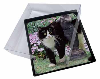 4x Black and White Cat in Garden Picture Table Coasters Set in Gift Box