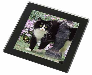 Black and White Cat in Garden Black Rim High Quality Glass Coaster