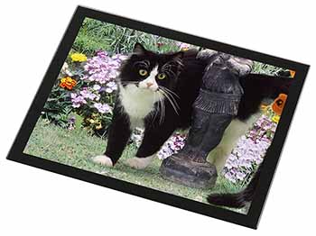 Black and White Cat in Garden Black Rim High Quality Glass Placemat
