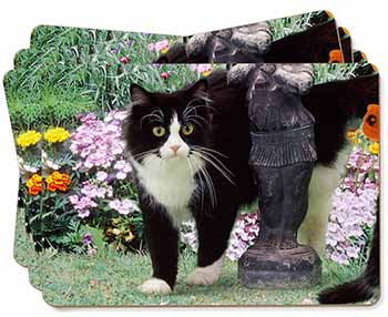 Black and White Cat in Garden Picture Placemats in Gift Box
