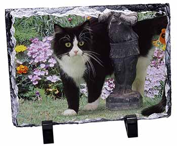 Black and White Cat in Garden, Stunning Photo Slate